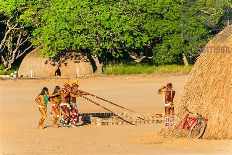 Ritual Dance Of The Xingu Indigenous People